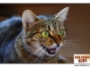 pro-image-kids_adela-padurariu-06